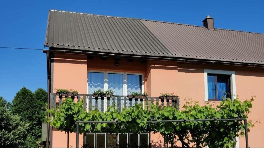Apartman Niki Lič Buitenkant foto